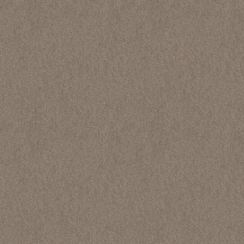 00722_E9413.jpeg