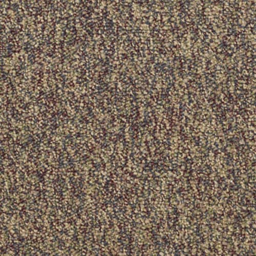 00770_54745.jpeg