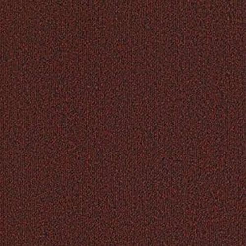 00800_54638.jpeg