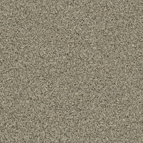 0252A_CCS81.jpeg
