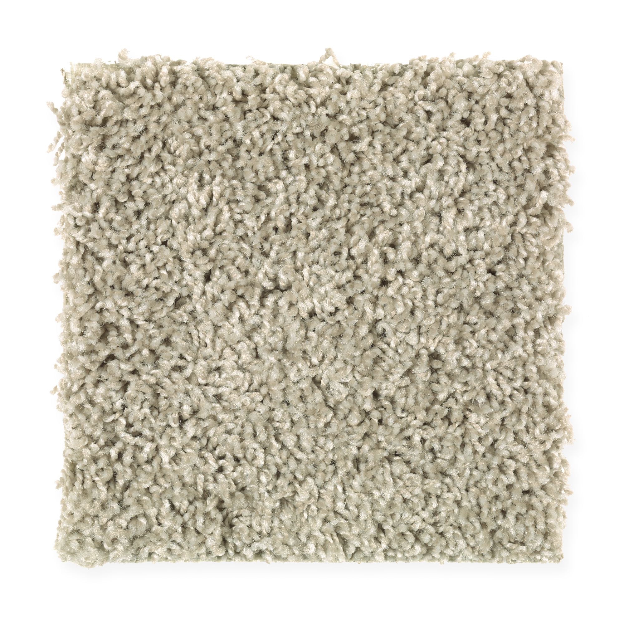 Mohawk Industries Perfect Mix Tracery 729 (1R54729)