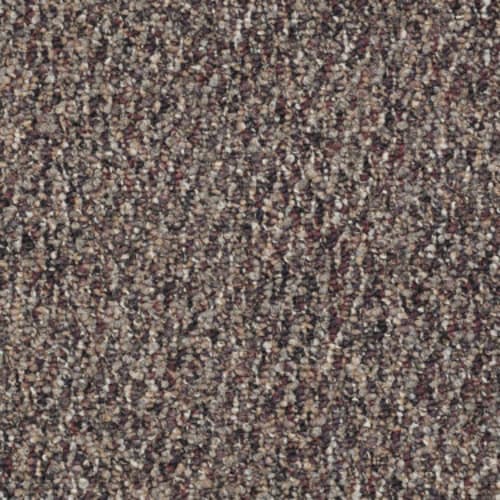 46720_54046.jpeg