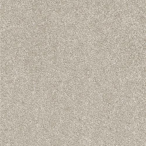 6240_542.jpeg