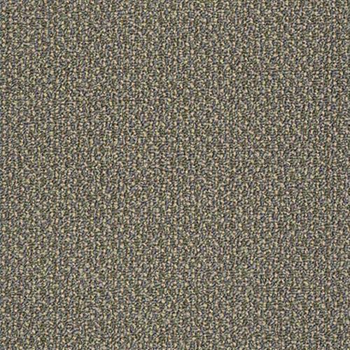 72704_54772.jpeg