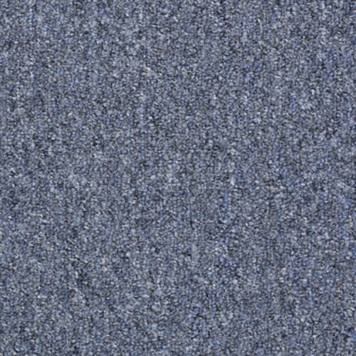 80471_54282.jpeg