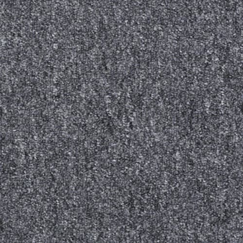 80572_54282.jpeg