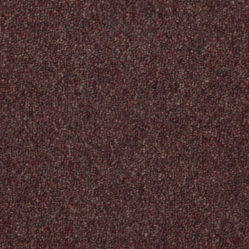 80700_54282.jpeg