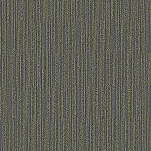 81306_J0181.jpeg