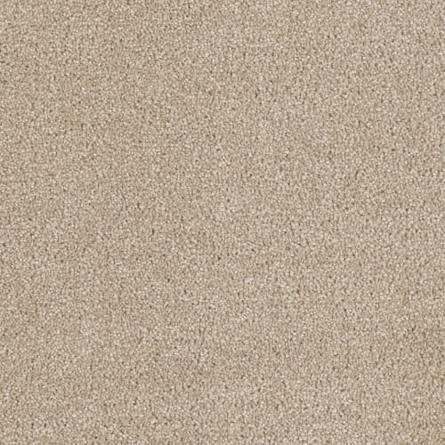 8232-580.jpeg