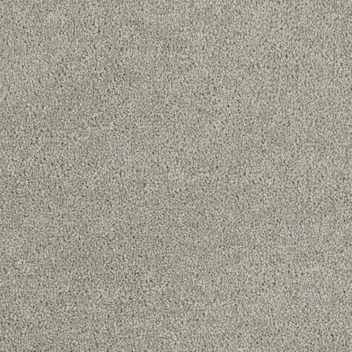 8232-910.jpeg