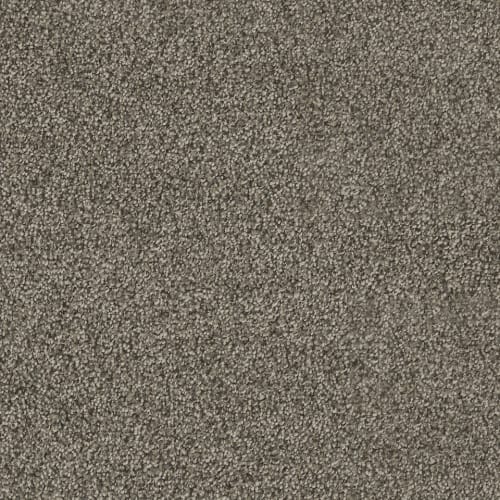 8232_418.jpeg