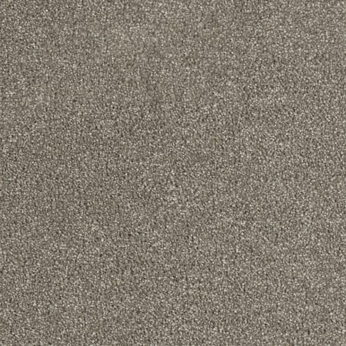 8232_528.jpeg