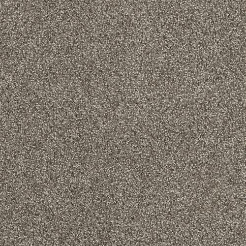 8232_622.jpeg