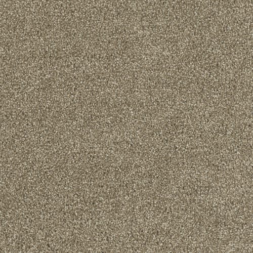 8232_680.jpeg