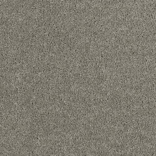8232_889.jpeg