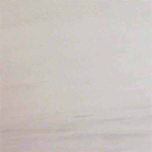 BIADO-24x24-1.jpeg